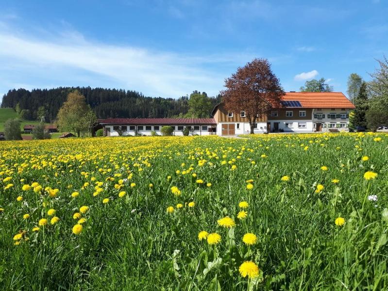 Ferienhaus Rasch Maierhöfen Exterior foto